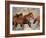 Wild Horses Running Through Desert, CA-Inga Spence-Framed Photographic Print