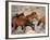 Wild Horses Running Through Desert, CA-Inga Spence-Framed Photographic Print