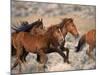 Wild Horses Running Through Desert, CA-Inga Spence-Mounted Photographic Print