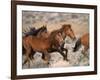 Wild Horses Running Through Desert, CA-Inga Spence-Framed Photographic Print