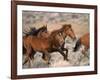 Wild Horses Running Through Desert, CA-Inga Spence-Framed Photographic Print