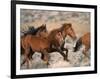 Wild Horses Running Through Desert, CA-Inga Spence-Framed Photographic Print