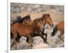 Wild Horses Running Through Desert, CA-Inga Spence-Framed Photographic Print