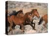 Wild Horses Running Through Desert, CA-Inga Spence-Stretched Canvas