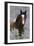 Wild Horses, Steens Mountains-Ken Archer-Framed Premium Photographic Print
