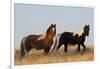 Wild Horses, Steens Mountains-Ken Archer-Framed Photographic Print