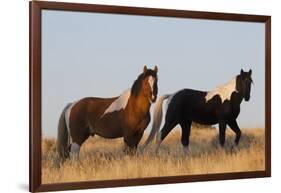 Wild Horses, Steens Mountains-Ken Archer-Framed Photographic Print