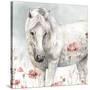 Wild Horses V-Lisa Audit-Stretched Canvas