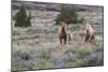 Wild horses, wild Mustangs-Ken Archer-Mounted Photographic Print