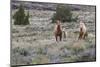 Wild horses, wild Mustangs-Ken Archer-Mounted Photographic Print