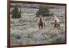 Wild horses, wild Mustangs-Ken Archer-Framed Photographic Print