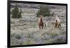 Wild horses, wild Mustangs-Ken Archer-Framed Photographic Print