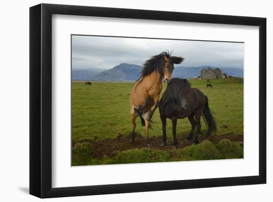 Wild Horses-null-Framed Art Print