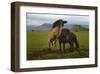 Wild Horses-null-Framed Art Print