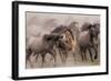 Wild Horses-null-Framed Art Print