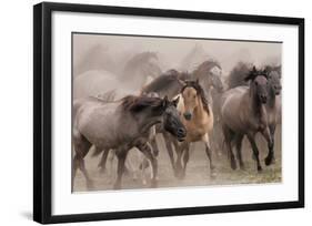 Wild Horses-null-Framed Art Print