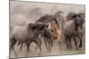 Wild Horses-null-Mounted Art Print