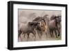 Wild Horses-null-Framed Art Print