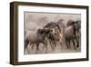 Wild Horses-null-Framed Art Print