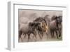 Wild Horses-null-Framed Art Print