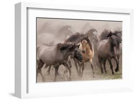 Wild Horses-null-Framed Art Print