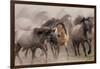 Wild Horses-null-Framed Art Print