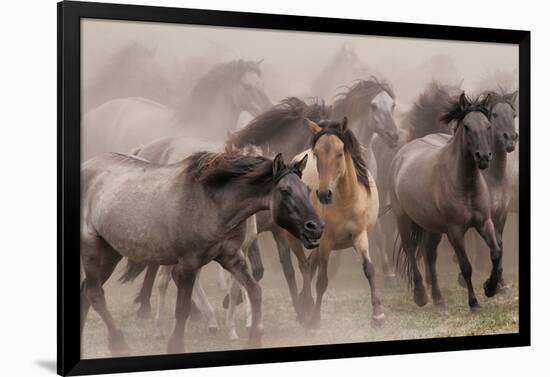 Wild Horses-null-Framed Art Print