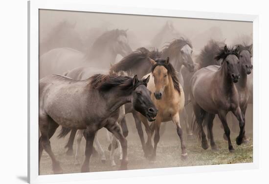 Wild Horses-null-Framed Art Print