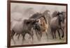 Wild Horses-null-Framed Art Print