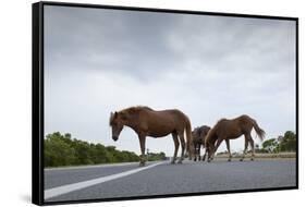 Wild Horses-Paul Souders-Framed Stretched Canvas