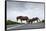 Wild Horses-Paul Souders-Framed Stretched Canvas