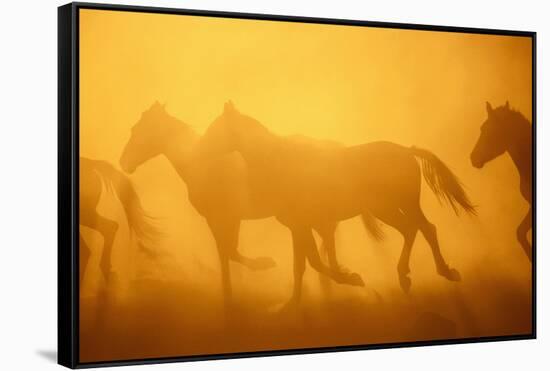 Wild Horses-DLILLC-Framed Stretched Canvas