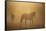 Wild Horses-DLILLC-Framed Stretched Canvas