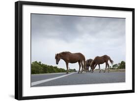 Wild Horses-Paul Souders-Framed Photographic Print