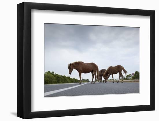 Wild Horses-Paul Souders-Framed Photographic Print