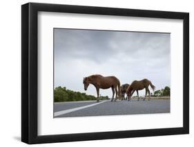 Wild Horses-Paul Souders-Framed Photographic Print