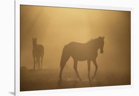 Wild Horses-DLILLC-Framed Photographic Print