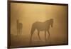 Wild Horses-DLILLC-Framed Photographic Print