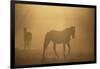 Wild Horses-DLILLC-Framed Photographic Print