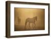 Wild Horses-DLILLC-Framed Photographic Print