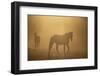 Wild Horses-DLILLC-Framed Photographic Print