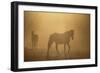 Wild Horses-DLILLC-Framed Photographic Print