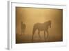 Wild Horses-DLILLC-Framed Photographic Print