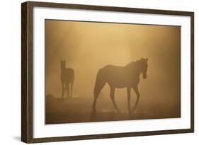 Wild Horses-DLILLC-Framed Photographic Print