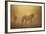 Wild Horses-DLILLC-Framed Photographic Print