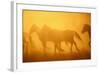 Wild Horses-DLILLC-Framed Photographic Print