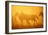 Wild Horses-DLILLC-Framed Photographic Print