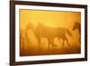 Wild Horses-DLILLC-Framed Photographic Print