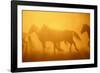 Wild Horses-DLILLC-Framed Photographic Print