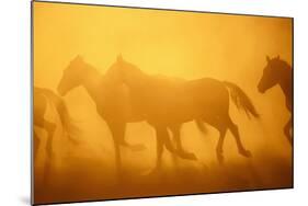 Wild Horses-DLILLC-Mounted Photographic Print